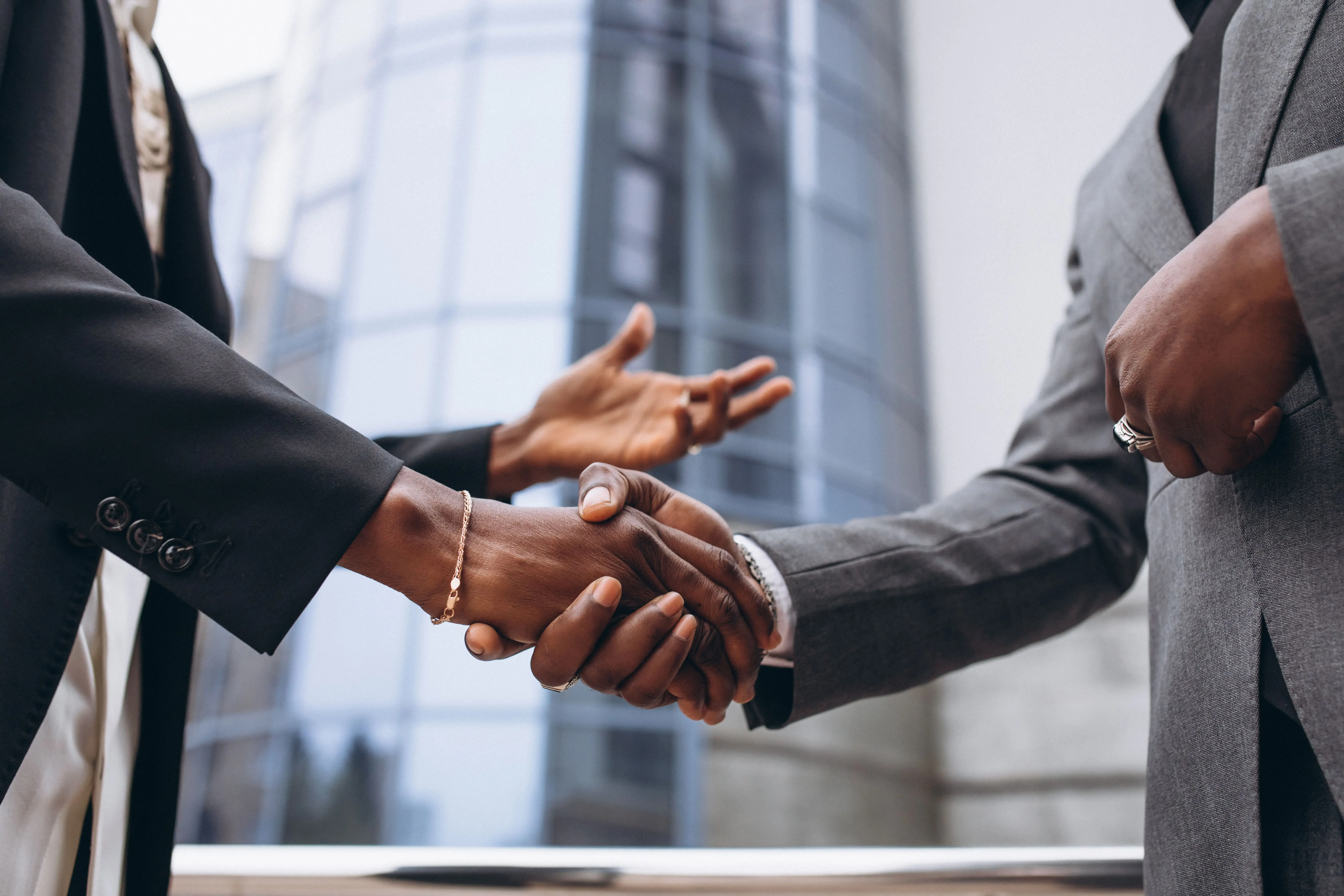 Investors and Professionals